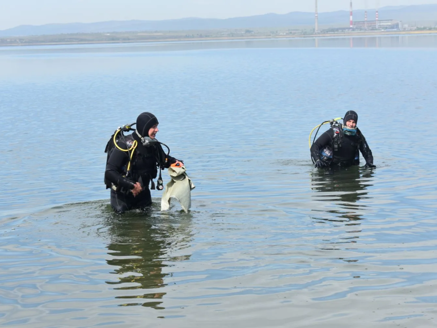Работа водолазов пресс-службы Министерства лесного хозяйства и пожарной безопасности Забайкальского края