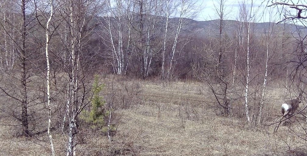 Минприроды Забайкалья