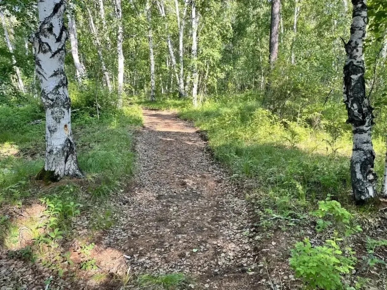 правительство Забайкалья