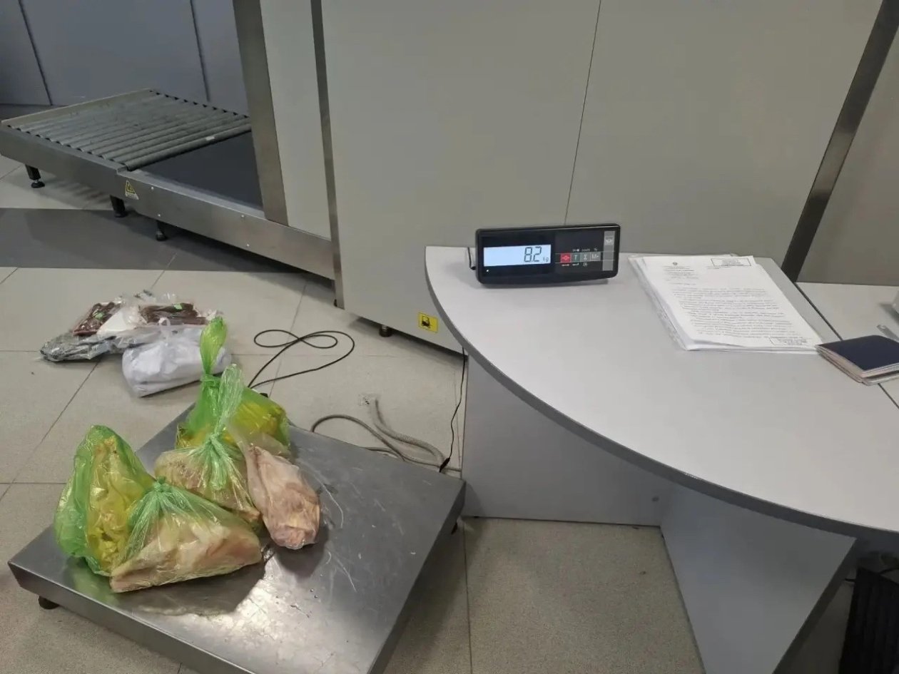 16,5 кг рыбы и мяса без документов изъяли у пассажирки из Вьетнама в Чите