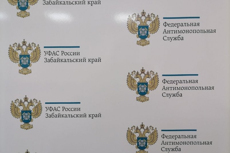 УФАС Абрамченко Анеты, ИА ChitaMedia