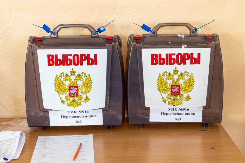 Выборы Мария Смитюк, ИА PrimaMedia.ru