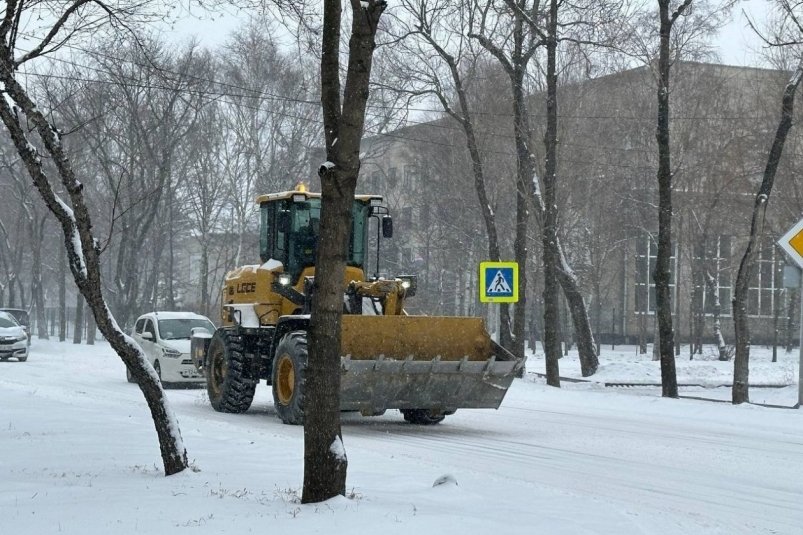 Администрация Читы заплатила 1,2 млн рублей штрафов за несвоевременную уборку снега Александр Шепырев, ИА UssurMedia