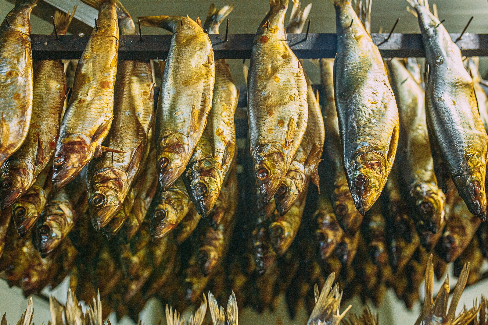 селедка, рыбный завод, рыба Мария Смитюк, ИА PrimaMedia