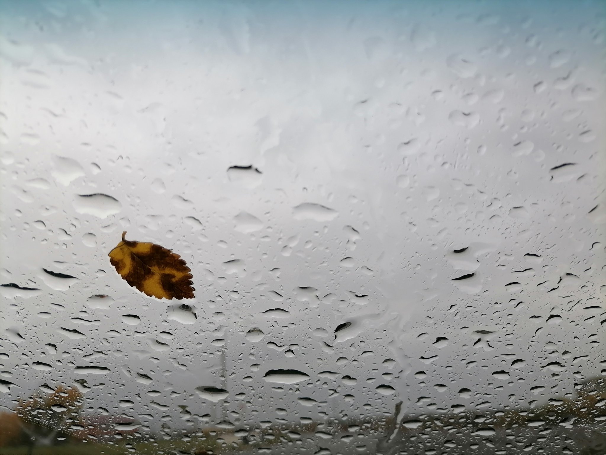 Погода Анета  Абрамченко, ИА ChitaMedia