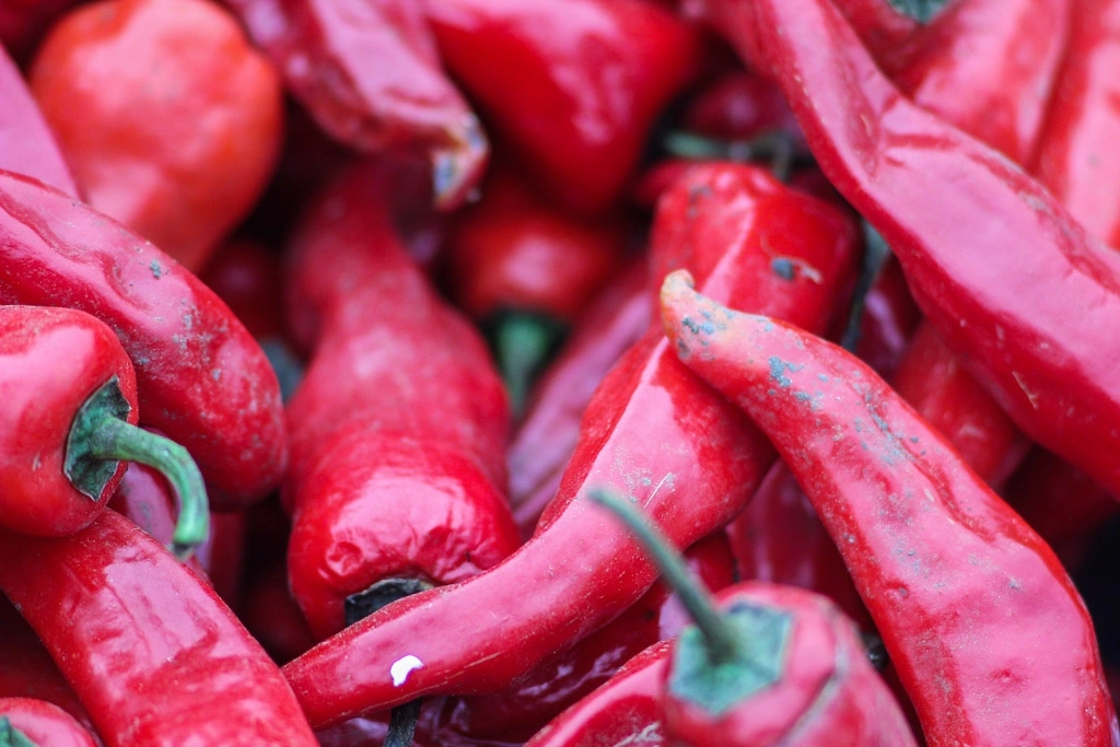 Острый перец ИА PrimaMedia