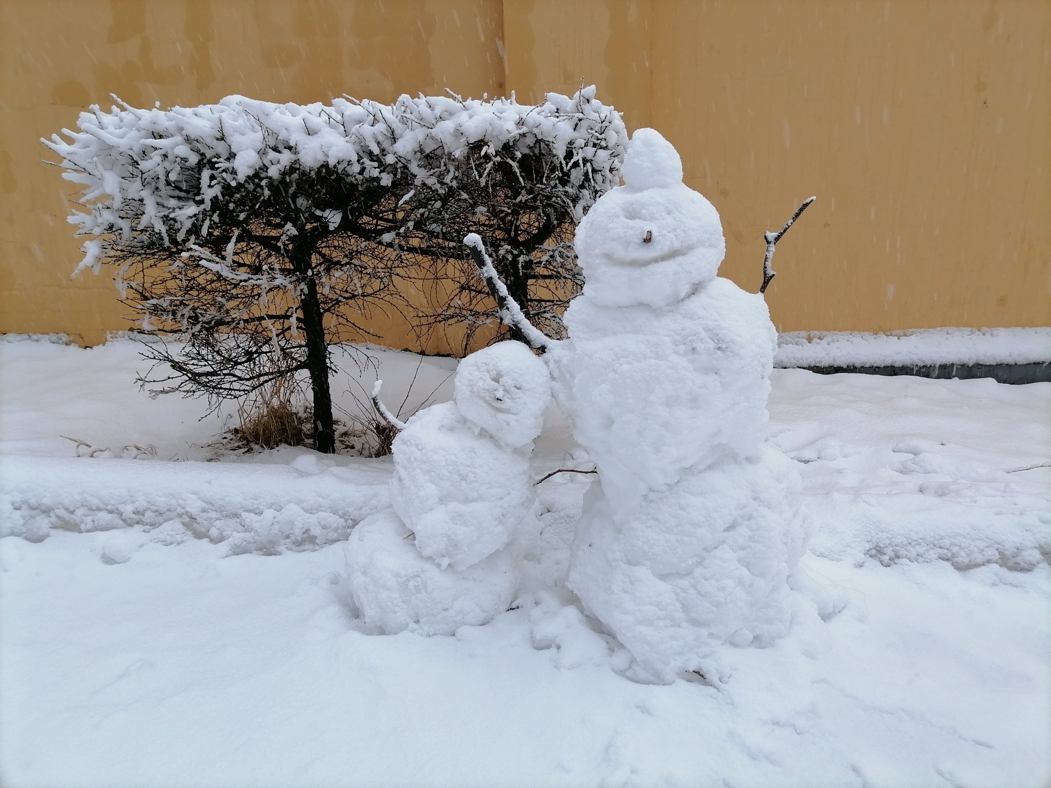 Снег Анета  Абрамченко, ИА ChitaMedia