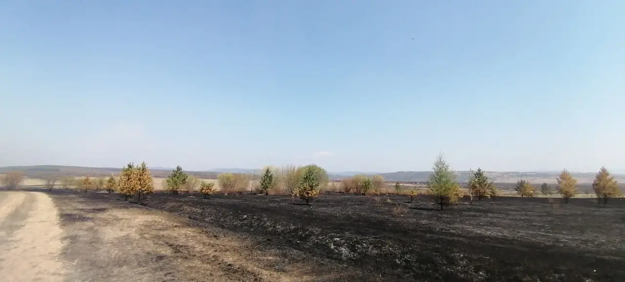 Пожар Канал МАХ (6+) Россельхознадзор по Забайкалью