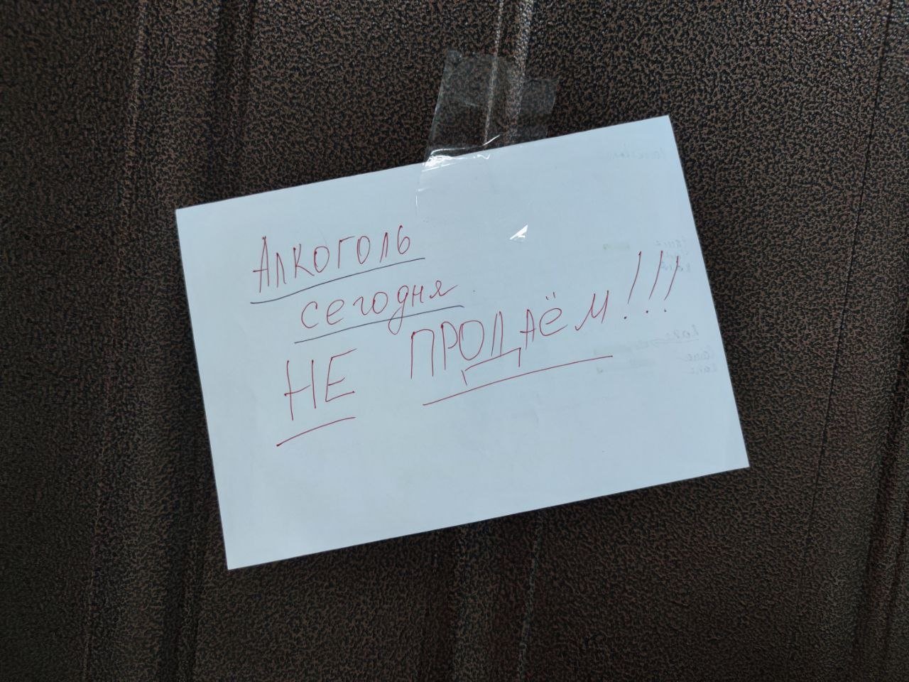 Алкоголь Елена Гиневская, ИА Stavropol.Media