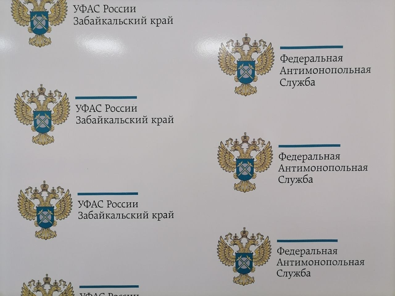 УФАС Абрамченко Анеты, ИА ChitaMedia