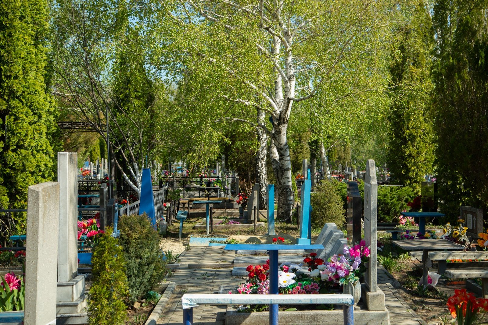 Кладбище Артём Хорошилов  , ИА Stavropol.Media