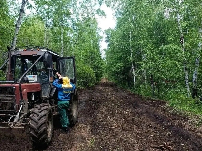 Противопожарные полосы для защиты лесов обновляют в Забайкалье н правительство Забайкалья