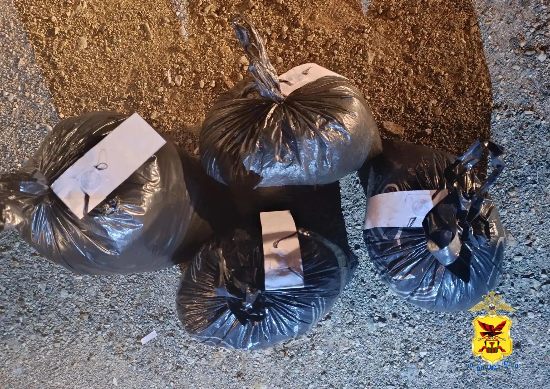 Двое забайкальцев попались на перевозке наркотиков полиция Забайкалья