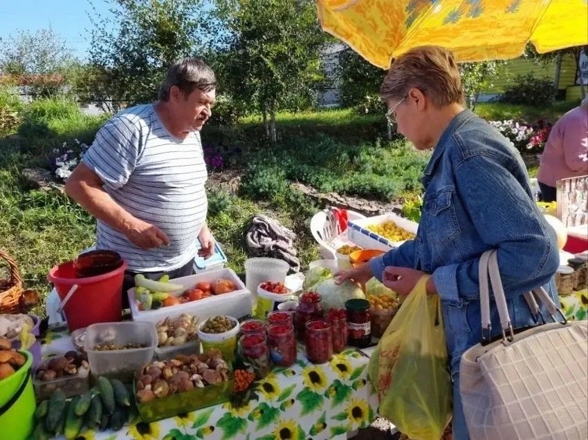 Ярмарка &quotЗолотая сотка&quot для садоводов и огородников пройдет в Чите Минсельхоз Забайкалья