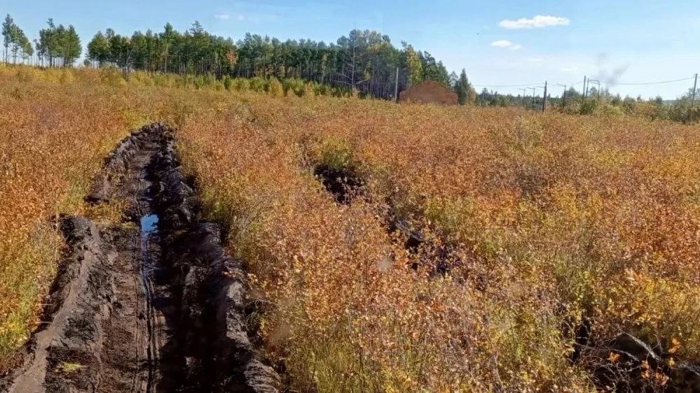 Минерализованная полоса пресс-службы Минприроды Забайкалья