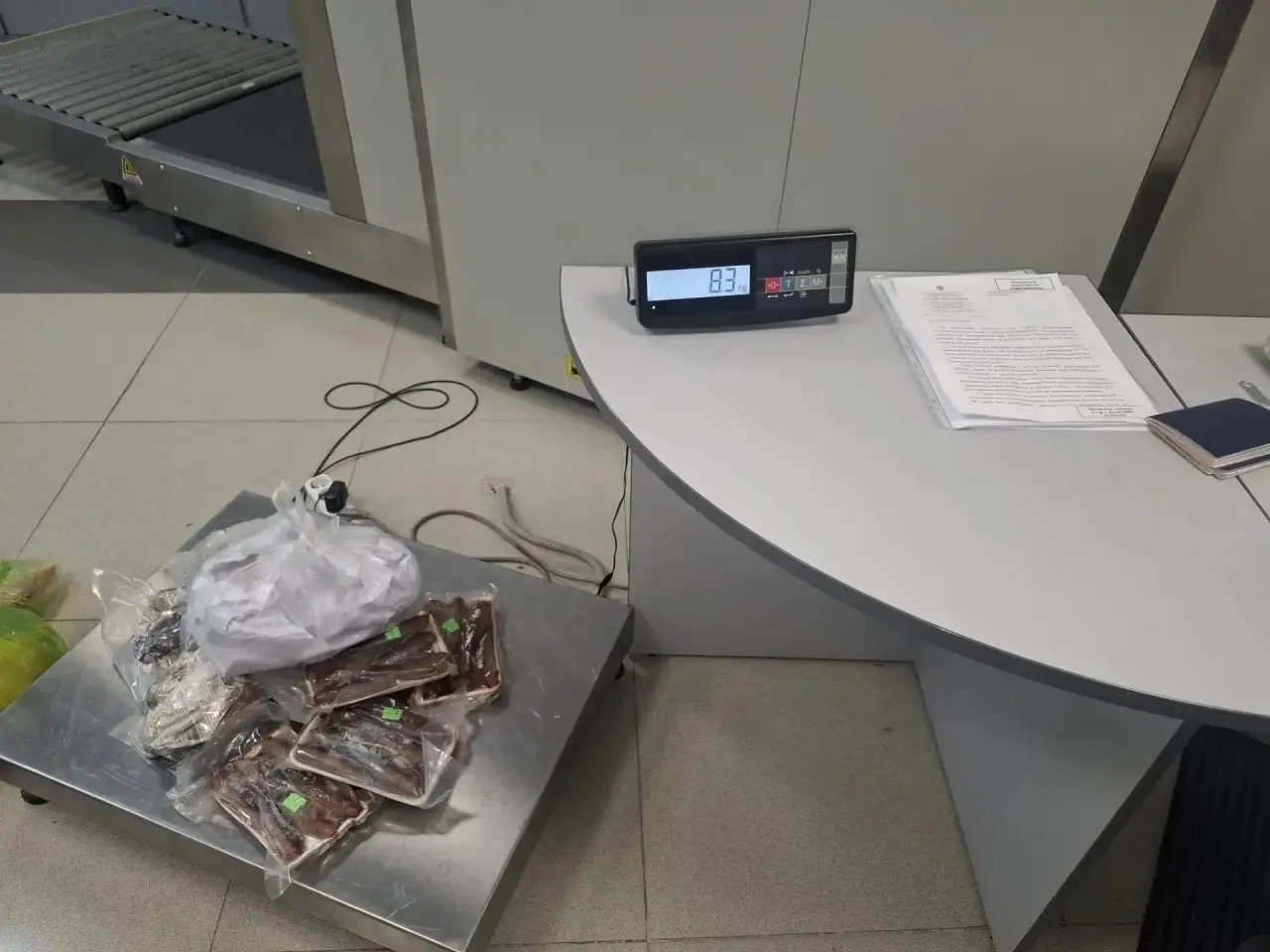 16,5 кг рыбы и мяса без документов изъяли у пассажирки из Вьетнама в Чите Россельхознадзор Забайкалья