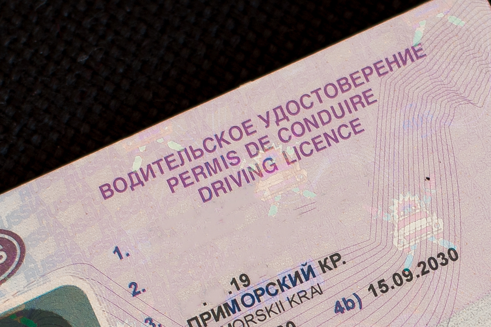 Иностранные права россиян будут действовать в России до 183 дней в году Илья Аверьянов, ИА PrimaMedia
