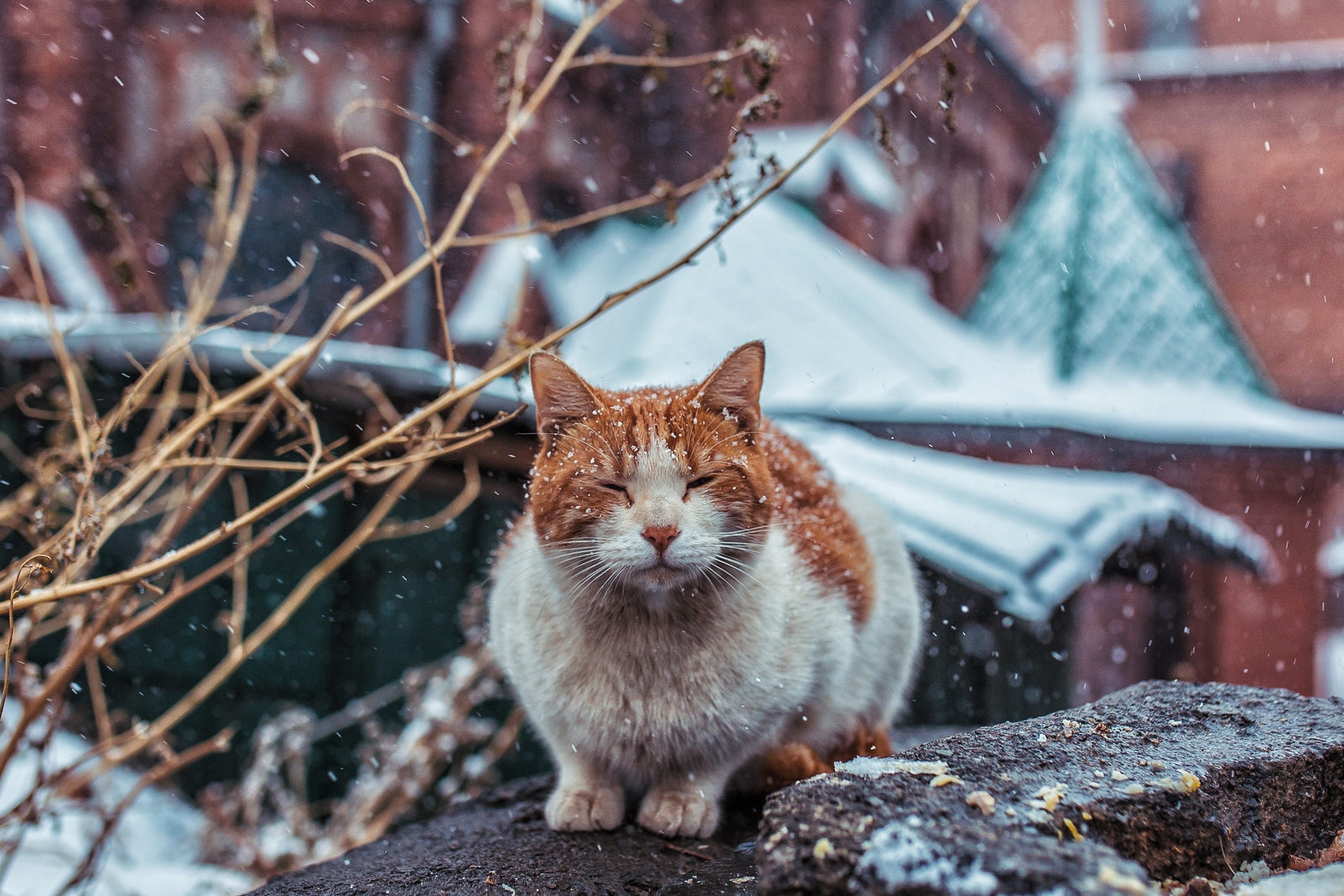 снег Мария Смитюк, ИА PrimaMedia
